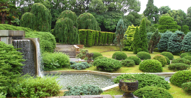 Bahçe Düzenleme veya Peyzaj