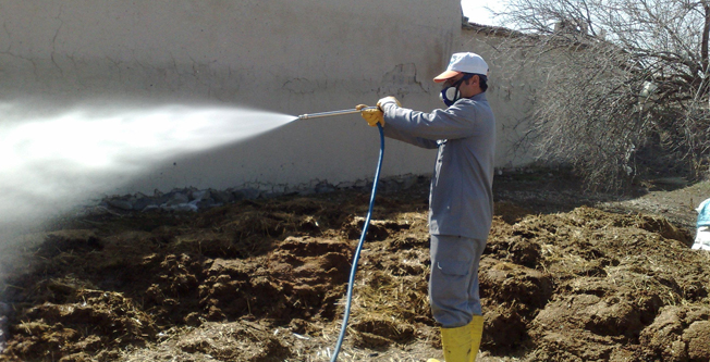 Böcek İlaçlama Haşere ve Bahçe İlaçlama