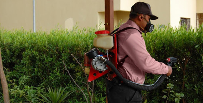 Böcek İlaçlama Haşere ve Bahçe İlaçlama