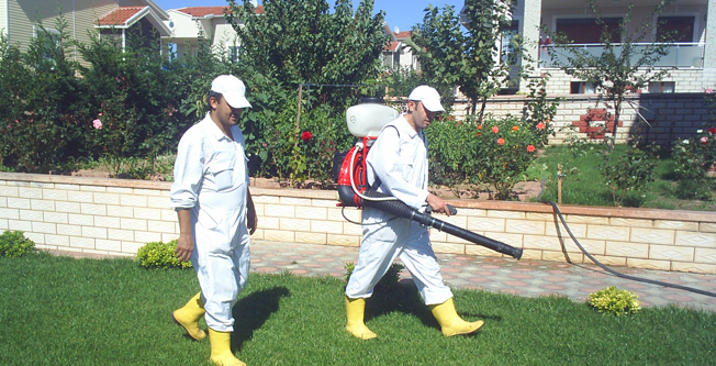 Böcek İlaçlama Haşere ve Bahçe İlaçlama