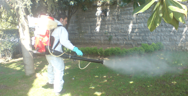 Böcek İlaçlama Haşere ve Bahçe İlaçlama