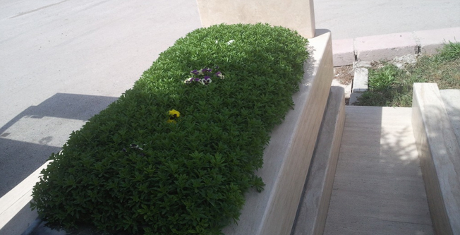 Mezarlık Kabristan Bakımı