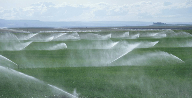 Otomatik bahçe Sulama Sistemleri