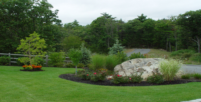 Periyodik bahçe Bakımı