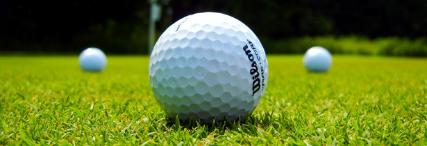 7'li Süper Karışım Hazır Rulo Çim Fiyatı 